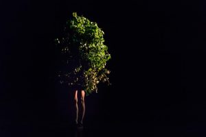 I Am Tree - Irina Lorez