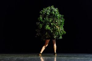 I Am Tree - Irina Lorez